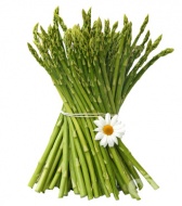 ��������� ����������� �������� �����